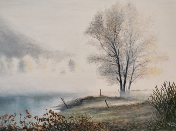 brouillard sur le lac  10p