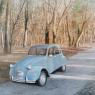 la 2cv bleue en forêt