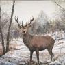 le cerf dans la neige