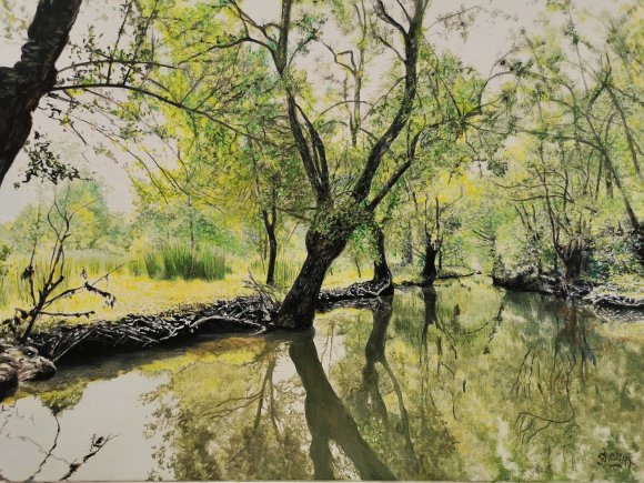 marais poitevin 1