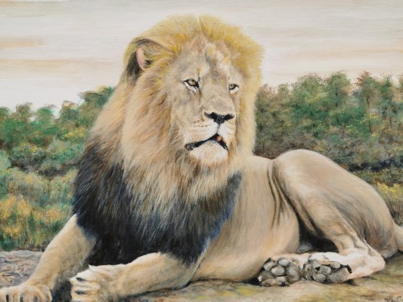 sa majesté le lion