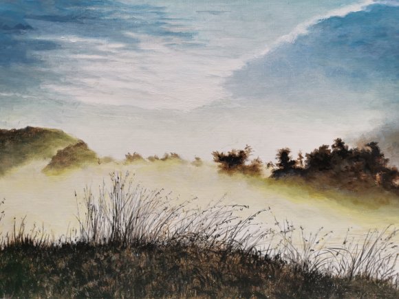 etang de talmont dans la brume