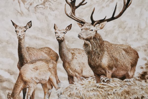 La famille de la forêt 