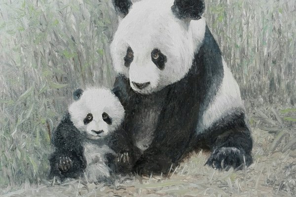 Le panda et son petit