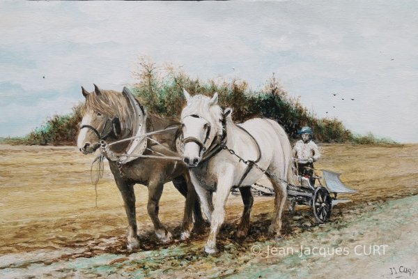 Les moissons  à l'ancienne 