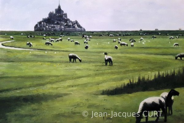 Les moutons du Mont Saint-Michel