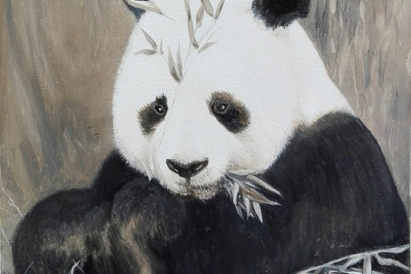 Le panda