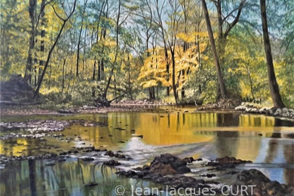 Le héron de la riviere dorée  