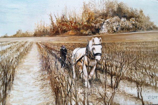 Un cheval dans la vigne